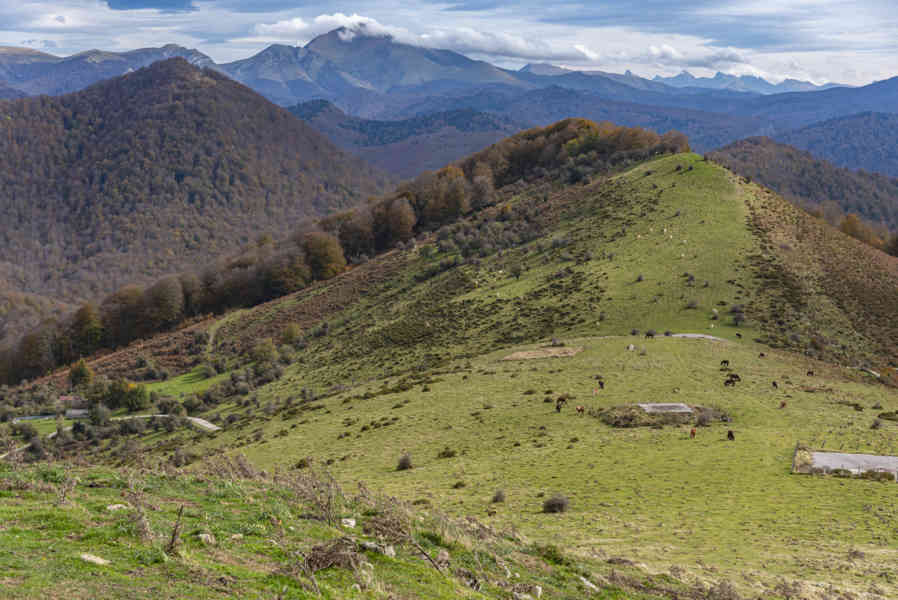 Comunidad Foral de Navarra 073 - Selva de Irati.jpg